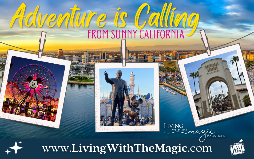Adventure is calling from Sunny California!!