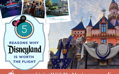 5 Reasons Why Disneyland Is Worth the Flight From The East Coast!