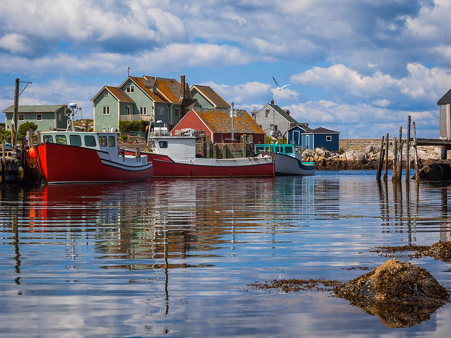halifax-nova-scotia-boats-docked-in-a-harbor