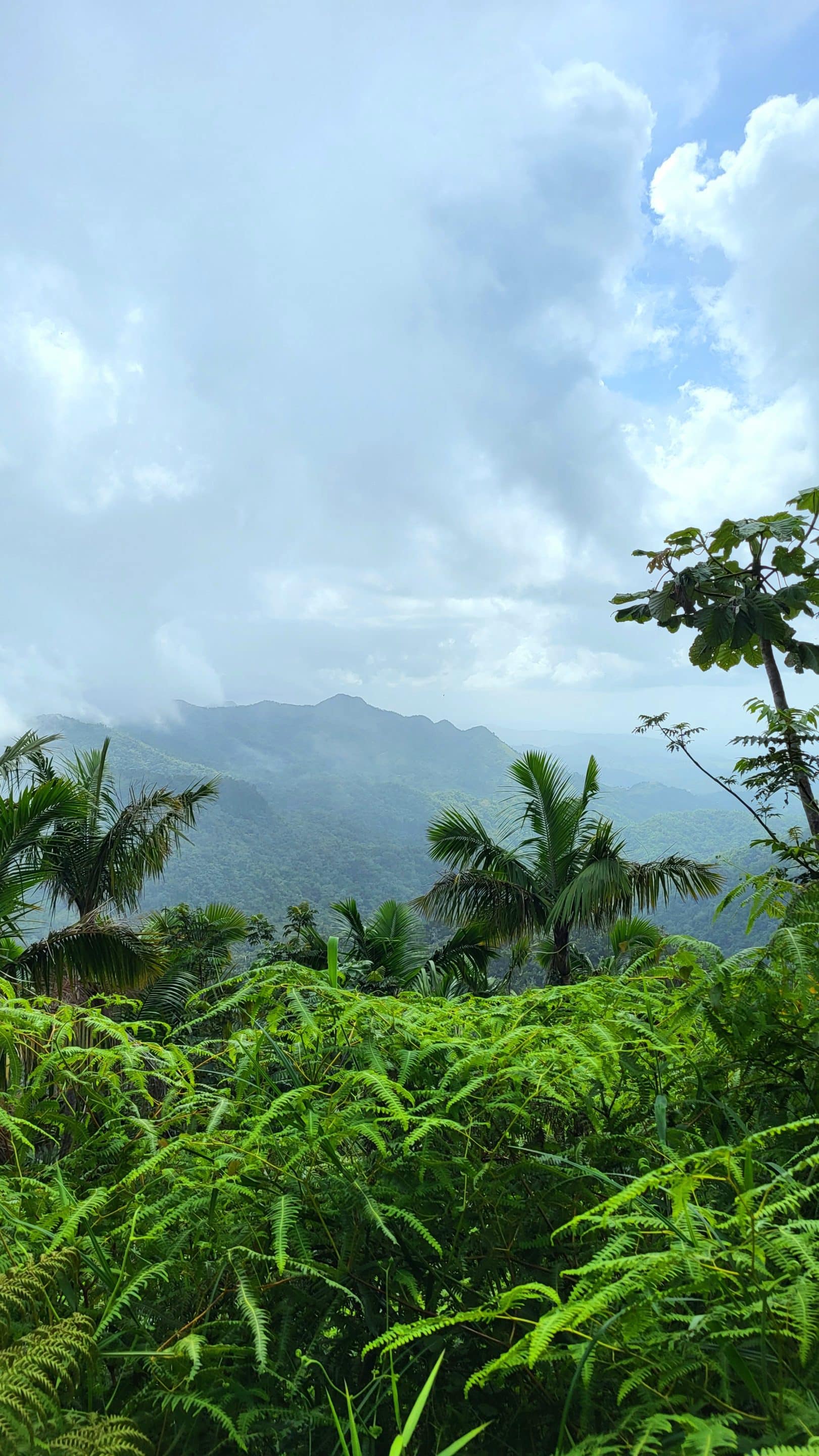 Must-See Destination Revealed: Puerto Rico — Living with the Magic