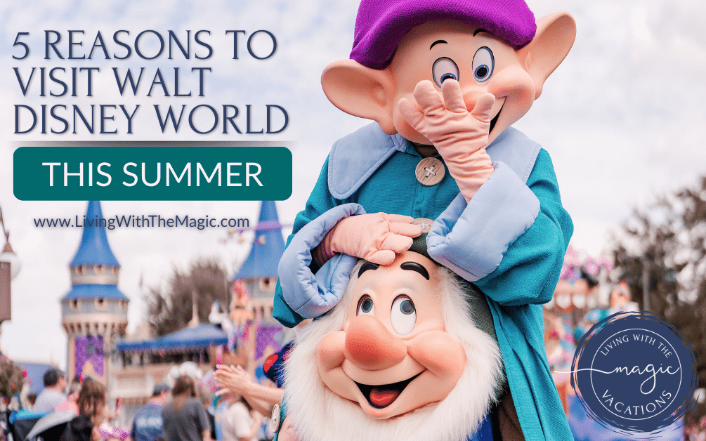 Walt Disney World summer vacation